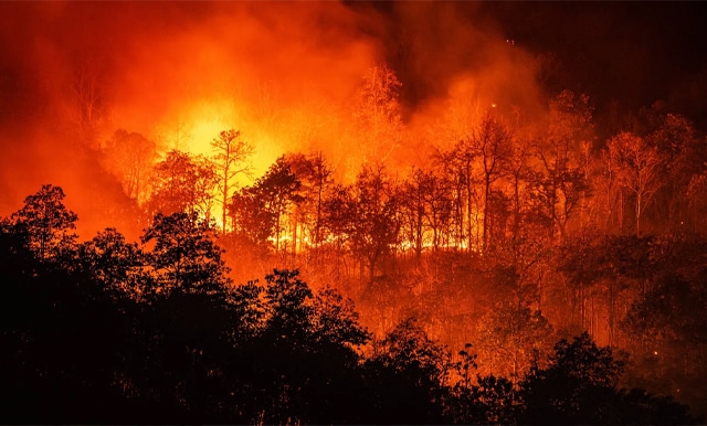 CONAFOR reporta 80 incendios forestales activos en México