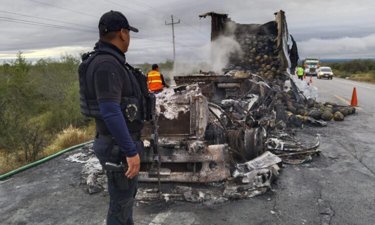 Se incendia tractocamión en la carretera de Jiménez