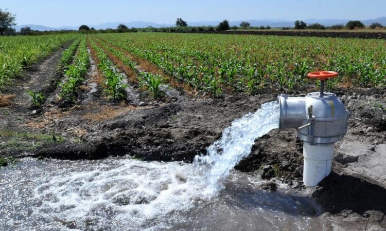 Rechaza ceder agua agro de Tamaulipas