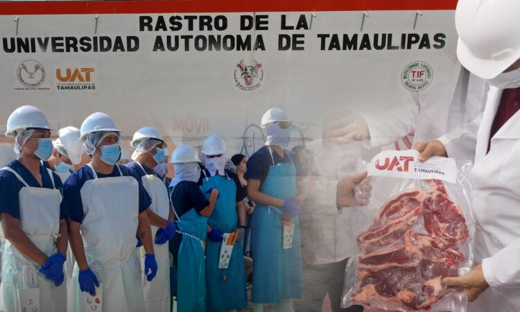 Rastro TIF de la UAT producirá carne para el mercado internacional