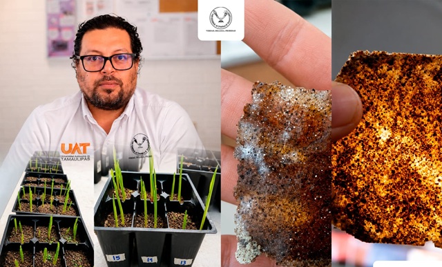 Patenta la UAT bioplásticos que recuperan suelos erosionados