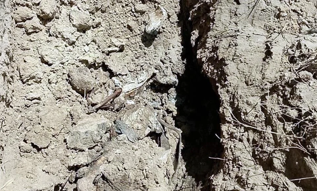 Hallan restos humanos en ejido de Reynosa